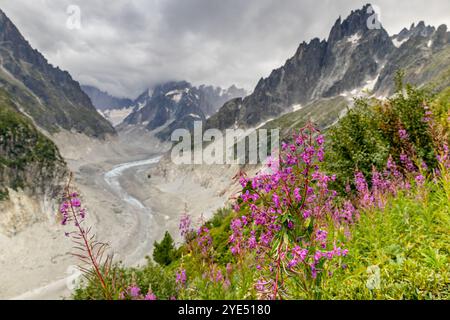 Gletscher Mer de Glace in den Alpen. Der größte Gletscher im Chamonix Montblanc Tal und die Gipfel der Droites und Grand Jorasses im Hintergrund Stockfoto