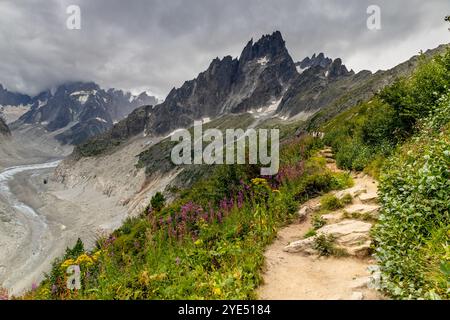 Gletscher Mer de Glace in den Alpen. Der größte Gletscher im Chamonix Montblanc Tal und die Gipfel der Droites und Grand Jorasses im Hintergrund Stockfoto