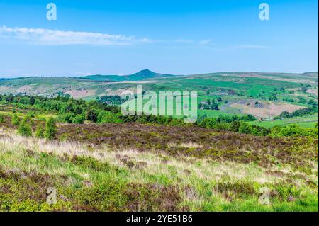 Ein Blick über heidekraute Hügel in der Nähe der LUDs Kirche in der Nähe von Gradbach, Staffordshire im Sommer Stockfoto