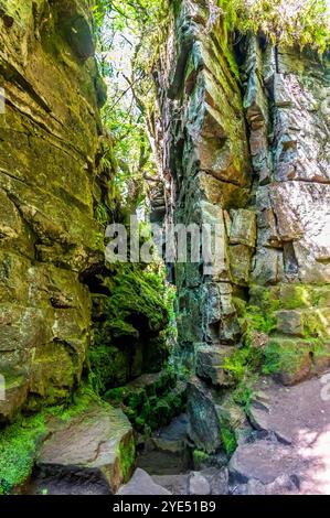 Blick hinunter in die LUDs Kirche in der Nähe von Gradbach, Staffordshire im Sommer Stockfoto