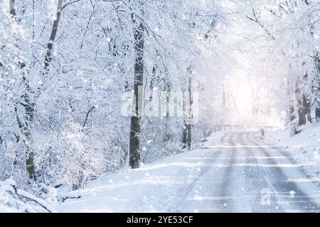 Winterlandschaft mit schneebedeckten Bäumen und Straße. Stockfoto