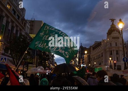 Madrid, Madrid, SPANIEN. Oktober 2024. Gewerkschaften und Lehrerversammlungen demonstrierten im Regen, um bessere Arbeitsbedingungen von der Gemeinschaft Madrid zu fordern (Foto: © Ignacio Lopez Isasmendi/ZUMA Press Wire) NUR REDAKTIONELLE VERWENDUNG! Nicht für kommerzielle ZWECKE! Stockfoto