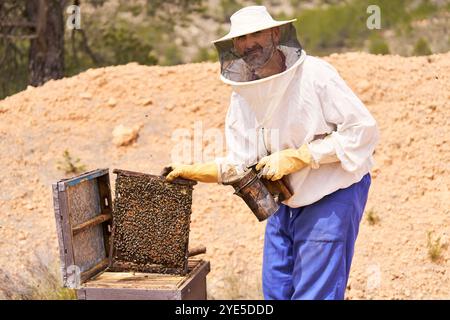 Ein Mann in einem Imker-Outfit kümmert sich um einen Bienenstock. Er trägt ein weißes Hemd und eine blaue Hose Stockfoto