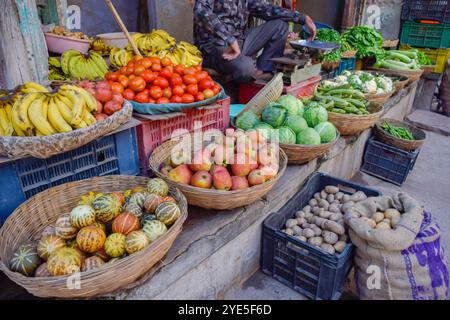 Verschiedene Obst- und Gemüsesorten auf dem Straßenmarkt in Rajasthan, Indien. Stockfoto