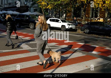 Nicht exklusiv: KIEW, UKRAINE - 28. OKTOBER 2024 - Eine Frau mit Hund überquert eine Straße in Kiew, der Hauptstadt der Ukraine. Stockfoto