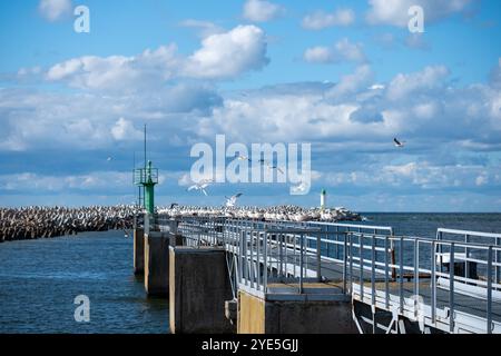 Eine Gruppe Möwen schwingt anmutig über einem Pier mit einem Leuchtturm vor einem leuchtend blauen Himmel. Die Szene fängt die Ruhe des ein Stockfoto