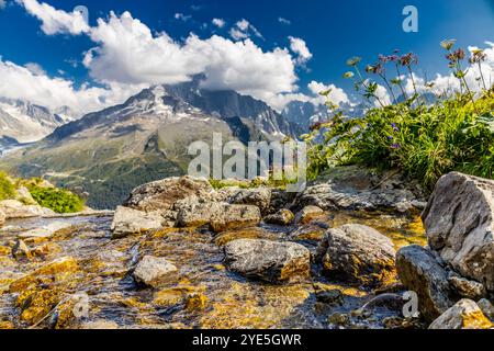 Der Gipfel des Petit Dru bietet schroffe Gipfel und Felsformationen vor klarem Himmel. Felsiger Gipfel des Aiguilles de Dru, les Drus in den Chamonix Alpen Stockfoto