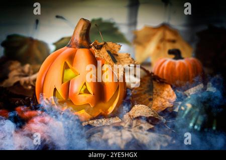 FOTOMONTAGE, Halloween-Kürbis mit Herbstlaub und Nebel *** FOTOMONTAGE, Halloween Kürbis mit Herbstlaub und Nebel Stockfoto