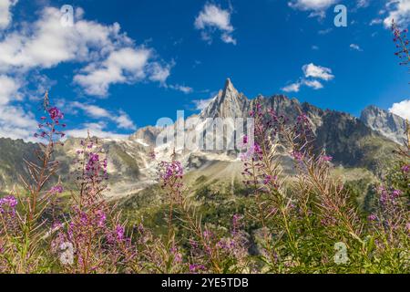 Der Gipfel des Petit Dru bietet schroffe Gipfel und Felsformationen vor klarem Himmel. Felsiger Gipfel des Aiguilles de Dru, les Drus in den Chamonix Alpen Stockfoto