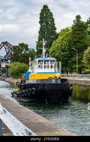 Schlepper segeln durch die Ballard Locks in Seattle, Washington Stockfoto