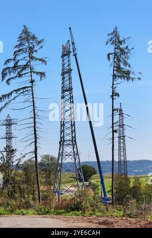 Zwischen toten Fichten, Deutschland, Nordrhein-Westfalen, Sauerland, wird ein Hochspannungspylon errichtet Stockfoto