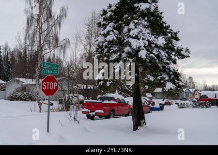 Starkschneefall stoppt das Leben in Alaska, Anchorage bedeckt in White Alaska, USA - 29. Oktober 2024 die Stadt Anchorage begrüßte den Winter mit dem ersten großen Schneefall der Saison. Der nächtliche Schneefall hat wichtige Straßen gesperrt, während Schneepflügen und Salzen in der ganzen Stadt voll ausgelastet sind. Die Schulen wechselten aufgrund des starken Schneefalls auf Fernunterricht, und die Gemeinde startete eine Online-Überwachungsplattform, um die Straßenverhältnisse im Auge zu behalten. Kinder und Haustiere spielen gerne im Schnee, während die Bewohner von Anchorage versuchen, die Herausforderungen zu meistern, die es mit sich bringt. Die Stadt Stockfoto