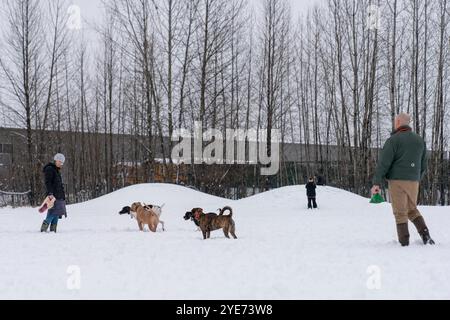 Starkschneefall stoppt das Leben in Alaska, Anchorage bedeckt in White Alaska, USA - 29. Oktober 2024 die Stadt Anchorage begrüßte den Winter mit dem ersten großen Schneefall der Saison. Der nächtliche Schneefall hat wichtige Straßen gesperrt, während Schneepflügen und Salzen in der ganzen Stadt voll ausgelastet sind. Die Schulen wechselten aufgrund des starken Schneefalls auf Fernunterricht, und die Gemeinde startete eine Online-Überwachungsplattform, um die Straßenverhältnisse im Auge zu behalten. Kinder und Haustiere spielen gerne im Schnee, während die Bewohner von Anchorage versuchen, die Herausforderungen zu meistern, die es mit sich bringt. Die Stadt Stockfoto