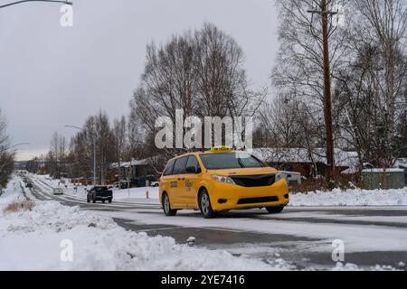 Starkschneefall stoppt das Leben in Alaska, Anchorage bedeckt in White Alaska, USA - 29. Oktober 2024 die Stadt Anchorage begrüßte den Winter mit dem ersten großen Schneefall der Saison. Der nächtliche Schneefall hat wichtige Straßen gesperrt, während Schneepflügen und Salzen in der ganzen Stadt voll ausgelastet sind. Die Schulen wechselten aufgrund des starken Schneefalls auf Fernunterricht, und die Gemeinde startete eine Online-Überwachungsplattform, um die Straßenverhältnisse im Auge zu behalten. Kinder und Haustiere spielen gerne im Schnee, während die Bewohner von Anchorage versuchen, die Herausforderungen zu meistern, die es mit sich bringt. Die Stadt Stockfoto