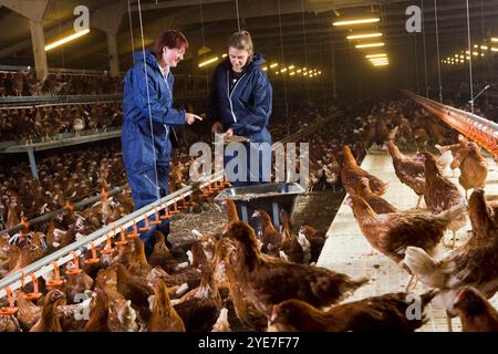 L bis R: Julie Taylor (RSPCA-Gutachterin), Beth Williamson (Wot-A-Pullet Farm Manager) bei einer RSPCA bestätigte akreditierte Junghennen. Yorkshire. Vereinigtes Königreich Stockfoto