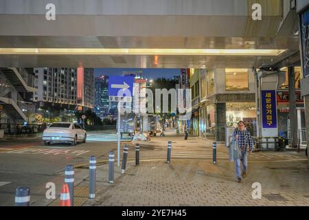 Öffentliche Straßen um Changgyeonggung-RO, Jongno-gu, Seoul, Südkorea in der Nacht des 11. Oktober 2024. Stockfoto