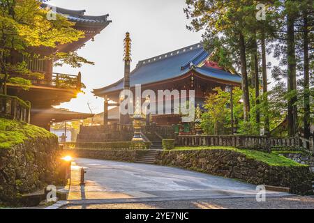 Sohrintoh-Turm von Rinno Ji, ein buddhistischer Tempel der Tendai in Nikko, Präfektur Tochigi, Japan. Stockfoto