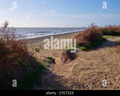 Covehithe Beach, Benacre National Nature Reserve Stockfoto