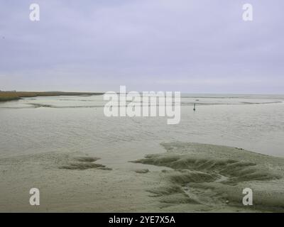 Ebbe, Wattenmeer, Dollart, Nieuwe Statenzijl, Niederlande Stockfoto