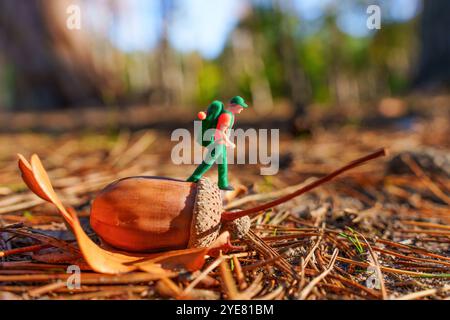 Eine winzige Wanderfigur steht auf einer Eichel im Wald und zeigt das Wunder der Natur in einer skurrilen Erkundungsszene. Stockfoto