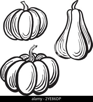 Kürbisse. Legen Sie Herbstskizzen fest. Vektorlinien-Illustrationen, handgezeichnet isoliert. Schwarz-weiß-Doodle von Thanksgiving und Gemüse ernten Stock Vektor
