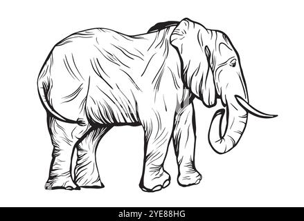 Elefantenporträt im Farbzeichnungsstil. Vintage Gravur Tusche Skizze Illustration isolierter Elefant. Afrikanischer Bischof Hintergrund Silhouette Kunsttier Stock Vektor