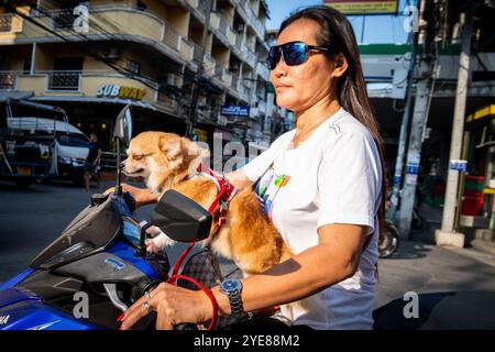 Eine junge Thai-Dame macht sich auf den Weg durch Soi Buakhao Pattaya Thailand mit ihrem Hund, der vorne sitzt. Stockfoto