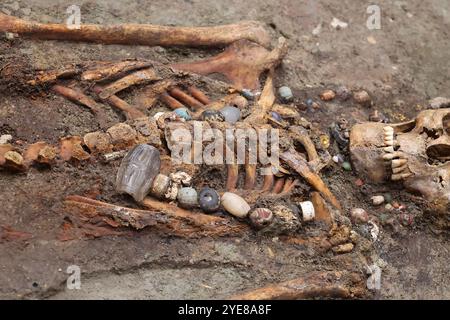 30. Oktober 2024, Thüringen, Weimar-Ehringsdorf: Das Skelett einer 25-45-jährigen Frau mit Halbedelsteinkette liegt während einer Pressekonferenz in ihrer Grabkammer. Präsentation der "Lady of Kölleda" - Ausgrabung aus dem 6. Jahrhundert. Die Grabkammer aus der merowingischen Zeit wurde bei Ausgrabungen auf dem Gewerbegut Kölleda-Kiebitzhöhe insgesamt in einem 13-Tonnen-Block geborgen. Das Frauenbegräbnis wurde ab März 2022 in den Restaurierungswerkstätten des Staatlichen Amtes für Denkmalschutz und Archäologie entdeckt. Unter anderem persönliche Gegenstände und Schmuck aus Stockfoto