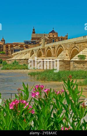 Die Römische Brücke und die ehemalige Moschee, heute eine Kathedrale, in Cordoba, Spanien. Stockfoto