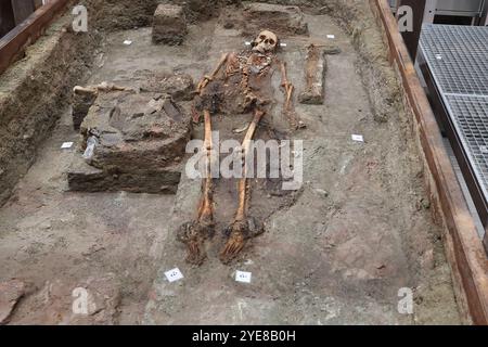 30. Oktober 2024, Thüringen, Weimar-Ehringsdorf: Das Skelett einer 25-45-jährigen Frau liegt während einer Pressekonferenz in ihrer Grabkammer. Präsentation der "Lady of Kölleda" - Ausgrabung aus dem 6. Jahrhundert. Die Grabkammer aus der merowingischen Zeit wurde bei Ausgrabungen auf dem Gewerbegut Kölleda-Kiebitzhöhe insgesamt in einem 13-Tonnen-Block geborgen. Das Frauenbegräbnis wurde ab März 2022 in den Restaurierungswerkstätten des Staatlichen Amtes für Denkmalschutz und Archäologie entdeckt. Unter anderem wurden persönliche Gegenstände und Schmuck aus Gold und Silber wiedergefunden. Pho Stockfoto