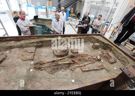 30. Oktober 2024, Thüringen, Weimar-Ehringsdorf: Teilnehmer einer Pressekonferenz betrachten das Skelett einer 25-45-jährigen Frau in ihrer Grabkammer. Präsentation der "Lady of Kölleda" - Ausgrabung aus dem 6. Jahrhundert. Die Grabkammer aus der merowingischen Zeit wurde bei Ausgrabungen auf dem Gewerbegut Kölleda-Kiebitzhöhe insgesamt in einem 13-Tonnen-Block geborgen. Das Frauenbegräbnis wurde ab März 2022 in den Restaurierungswerkstätten des Staatlichen Amtes für Denkmalschutz und Archäologie entdeckt. Unter anderem wurden persönliche Gegenstände und Schmuck aus Gold und Silber repräsentiert Stockfoto