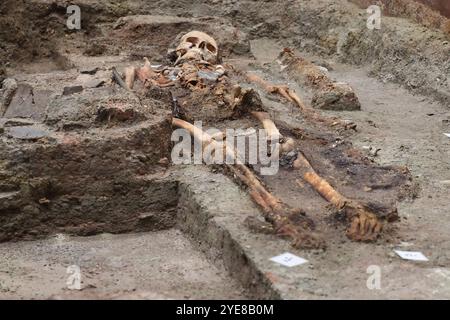 30. Oktober 2024, Thüringen, Weimar-Ehringsdorf: Das Skelett einer 25-45-jährigen Frau liegt während einer Pressekonferenz in ihrer Grabkammer. Präsentation der "Lady of Kölleda" - Ausgrabung aus dem 6. Jahrhundert. Die Grabkammer aus der merowingischen Zeit wurde bei Ausgrabungen auf dem Gewerbegut Kölleda-Kiebitzhöhe insgesamt in einem 13-Tonnen-Block geborgen. Das Frauenbegräbnis wurde ab März 2022 in den Restaurierungswerkstätten des Staatlichen Amtes für Denkmalschutz und Archäologie entdeckt. Unter anderem wurden persönliche Gegenstände und Schmuck aus Gold und Silber wiedergefunden. Pho Stockfoto