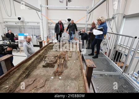 30. Oktober 2024, Thüringen, Weimar-Ehringsdorf: Teilnehmer einer Pressekonferenz betrachten das Skelett einer 25-45-jährigen Frau in ihrer Grabkammer. Präsentation der "Lady of Kölleda" - Ausgrabung aus dem 6. Jahrhundert. Die Grabkammer aus der merowingischen Zeit wurde bei Ausgrabungen auf dem Gewerbegut Kölleda-Kiebitzhöhe insgesamt in einem 13-Tonnen-Block geborgen. Das Frauenbegräbnis wurde ab März 2022 in den Restaurierungswerkstätten des Staatlichen Amtes für Denkmalschutz und Archäologie entdeckt. Unter anderem wurden persönliche Gegenstände und Schmuck aus Gold und Silber repräsentiert Stockfoto