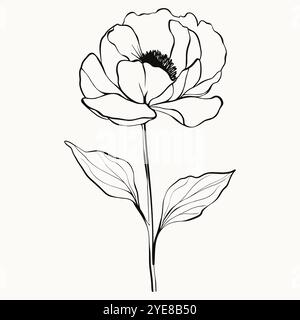 Schwarze Kontur Pfingstrosenblüte mit Blättern. Zarte, handgezeichnete Blumensymbol, Symbol Stock Vektor