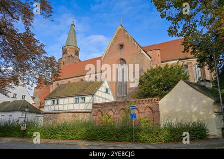 Dom St. Peter und Paul, Burghof, Brandenburg, Deutschland Stockfoto