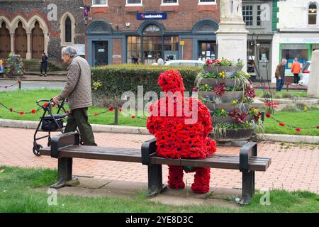 Chesham, Buckinghamshire, Großbritannien. Oktober 2024. Ein älterer Mann geht an einer auffälligen Figur des Mannes vorbei, der mit rotem Mohn bedeckt ist und auf einem Sitz in Chesham neben dem Kriegsdenkmal sitzt und eine weiße Taube hält. Quelle: Maureen McLean/Alamy Live News Stockfoto