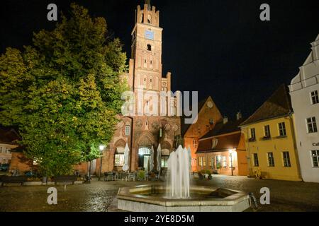 Altes Rathaus, Altstädtischer Markt, Stadt Brandenburg an der Havel, Brandenburg, Deutschland Stockfoto