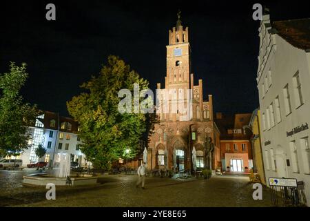 Altes Rathaus, Altstädtischer Markt, Stadt Brandenburg an der Havel, Brandenburg, Deutschland Stockfoto