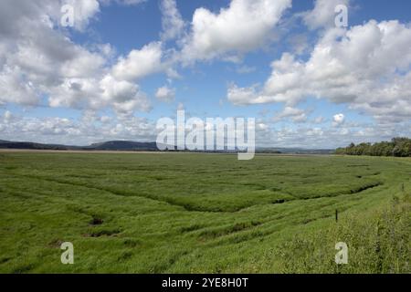 Die Flussmündung des Flusses Kent mit Blick von der Carr Bank in der Nähe von Arnside Westmorland und Furness England Stockfoto