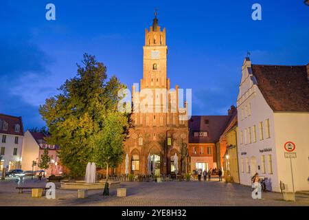 Altes Rathaus, Altstädtischer Markt, Stadt Brandenburg an der Havel, Brandenburg, Deutschland *** Altes Rathaus, Altstädtischer Markt, Stadt Brandenburg an der Havel, Brandenburg, Deutschland Stockfoto