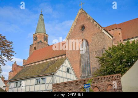 Dom St. Peter und Paul, Burghof, Brandenburg, Deutschland *** St. Peter und Paul Dom, Burghof, Brandenburg, Deutschland Stockfoto