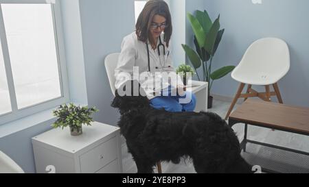 Eine junge Tierärztin aus spanien ist in einer Klinik und untersucht einen labrador-Hund drinnen. Stockfoto