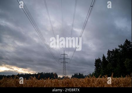 Hochspannungsleitungen erstrecken sich über ein Weizenfeld unter einem stimmungsvollen, bewölkten Himmel und schaffen einen dramatischen Kontrast zwischen Natur und Infrastruktur. Stockfoto