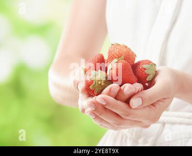 Frisch reife Erdbeeren in Händen junger Frau Stockfoto