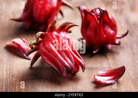 Nahaufnahme der magentafarbenen Kelche (Sepalen) der roselle-Blüten Stockfoto