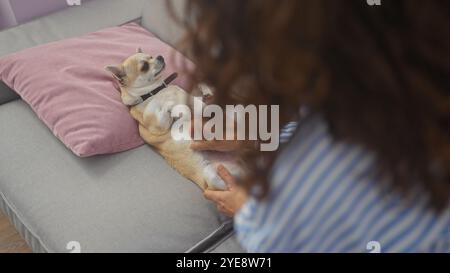 Eine Frau mittleren Alters streichelt einen chihuahua auf einem Sofa in einem gemütlichen Innenraum mit einem rosafarbenen Kissen. Stockfoto