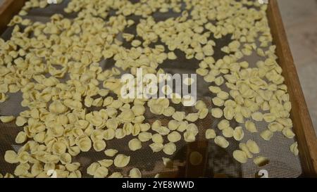 Getrocknete Nudeln mit Orecchiette auf einem Gittertablett im Freien in bari, apulien, italien, mit traditioneller italienischer Küche. Stockfoto