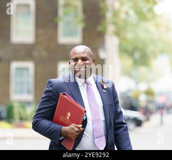 Downing St, London, Großbritannien. Oktober 30 2024. Rt Hon David Lammy, Außenminister, Verlässt Downing St. Stockfoto