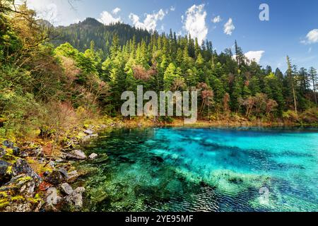 Der 5-farbige Pool mit azurblauem Wasser inmitten bewaldeter Berge Stockfoto