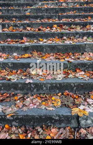 Steintreppen mit Herbstlaub bedeckt. Herbst Hintergrund Stockfoto